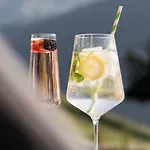 Grabnergut - Sommerkarte Der Gasteiner Bergbahnen Inklusive 公寓 *