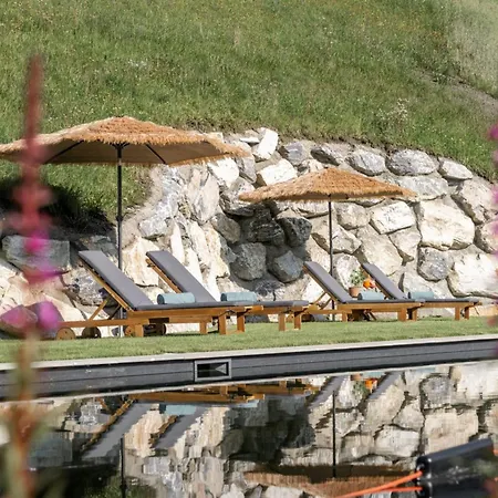 Appartement Grabnergut *