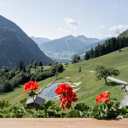 Appartement Grabnergut